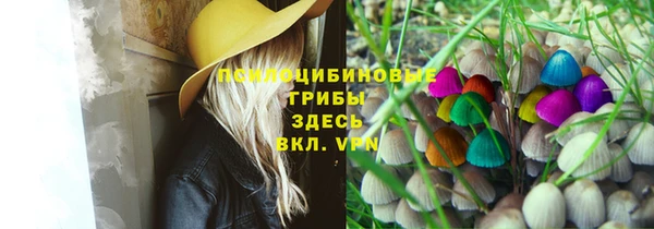 стаф Арсеньев