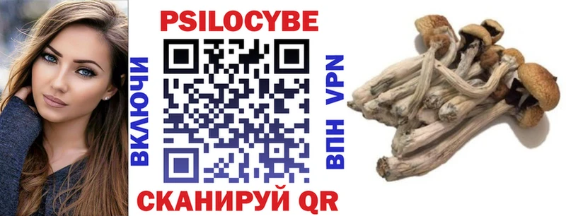 Псилоцибиновые грибы Cubensis закладки Правдинск